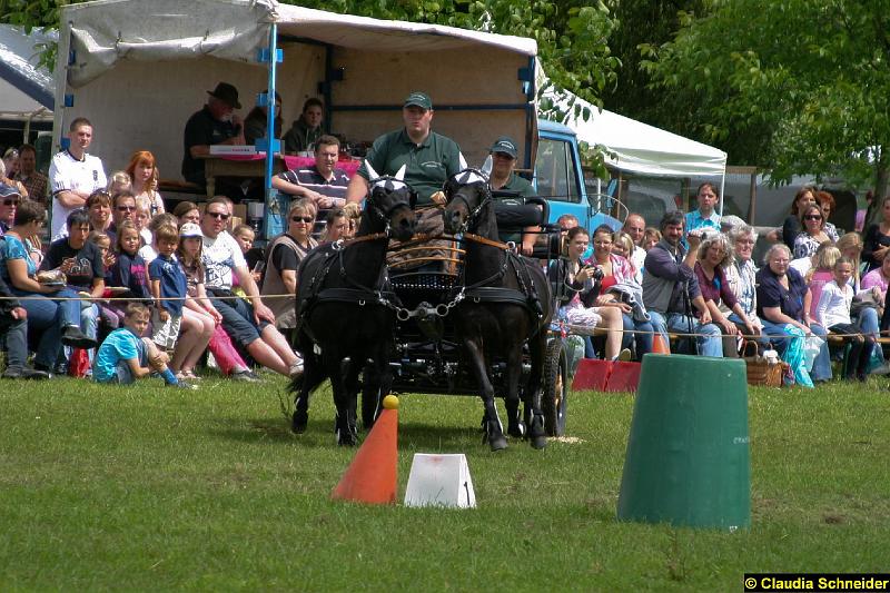 Ponytag Bosbach 2012-027.jpg